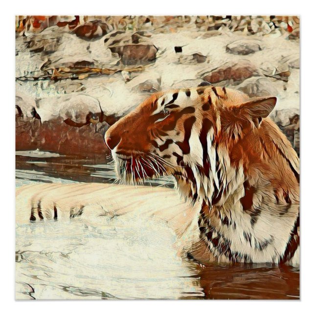 Pôster tigre de natação de cor quente (Frente)