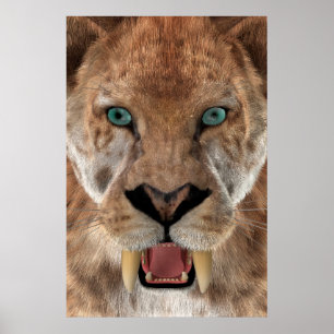 Pôster Tigre Dente de Sabre ou Smilodon