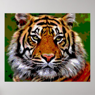 Poster Tigre do tigre