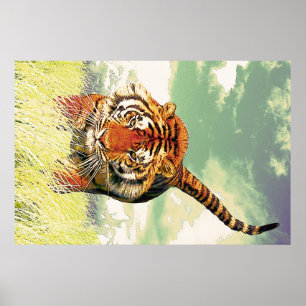 Poster Tigre do tigre!
