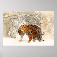 Tigre e filhote maravilhosos na neve