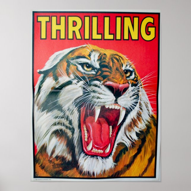 Poster Tigre emocionante (Frente)