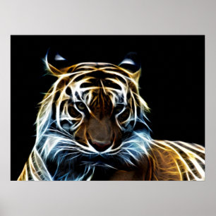 Poster Tigre frágil