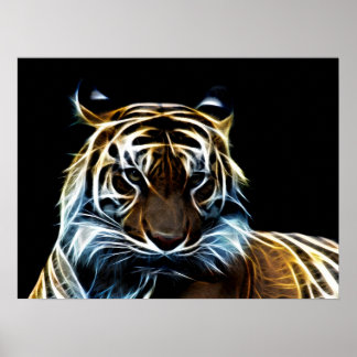 Poster Tigre frágil