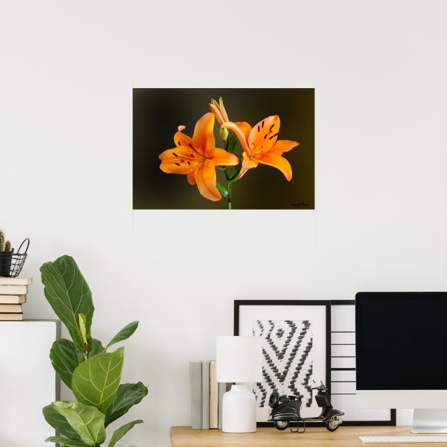 Pôster Tigre Laranja Lillies e Buds Fecham Fotografia (Escritório em casa)