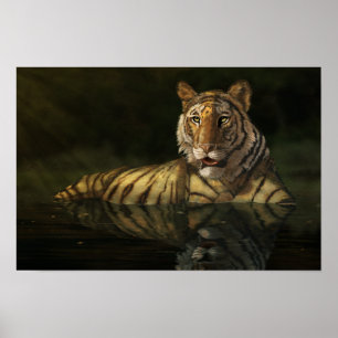 Poster Tigre na pintura digital da água