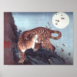 Poster Tigre pelo luar