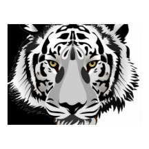 Tigre Preto Branco
