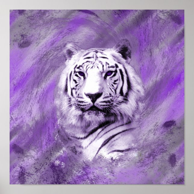 Poster Tigre Roxo (Frente)