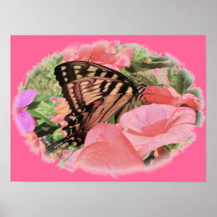 Poster Tigre Swallowtail