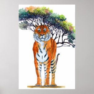 Poster Tigre, Tigre, Brilhante