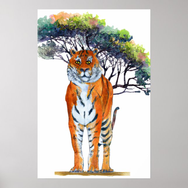 Poster Tigre, Tigre, Brilhante (Frente)