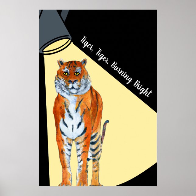 Poster Tigre, Tigre, Brilhante (Frente)