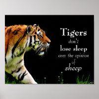 Tigres // Motivação