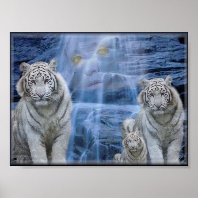 Pôster tigres recuam (Frente)