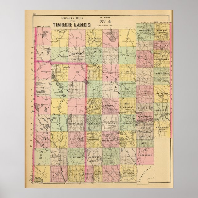 Pôster Timber lands 4 Atlas Map (Frente)