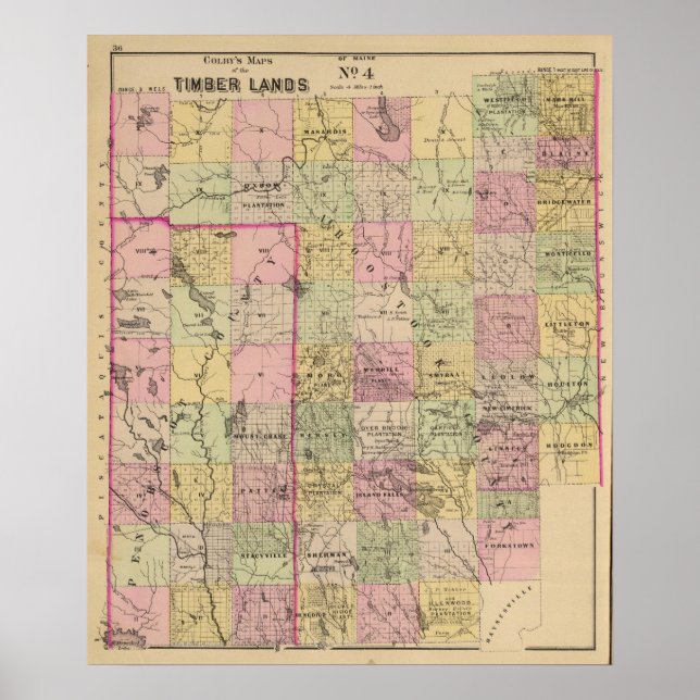 Poster Timber lands 4 Map (Frente)
