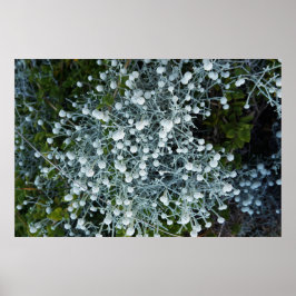 Poster Timeless Journey