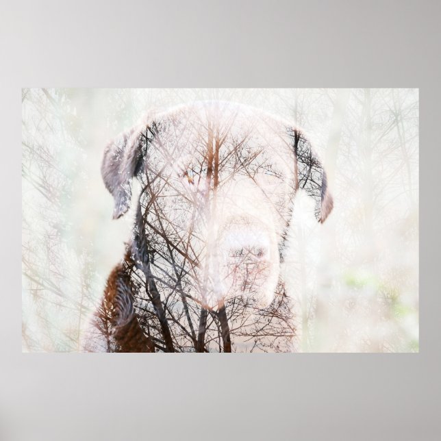 Poster Timeless Journey (Frente)