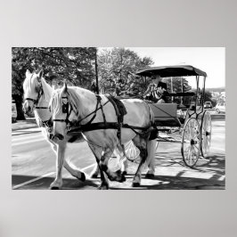 Poster Timeless Journey