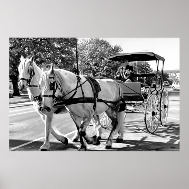 Poster Timeless Journey (Frente)