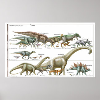 Poster Timeline of the dinosaurs Jurassic Biology