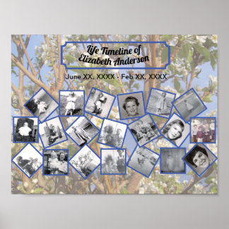 Poster Timeline Photo Collage on White Blossom Tree
