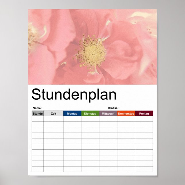 Poster Timetable Mono do Rosa Bush (Frente)