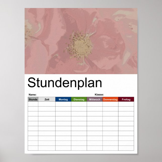 Poster Timetable Rosas Bush (Frente)