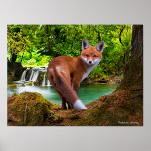 Poster "Tímido Vixen"