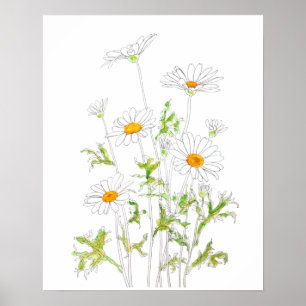 Poster tinta branca e aquarela da margarida Margaret