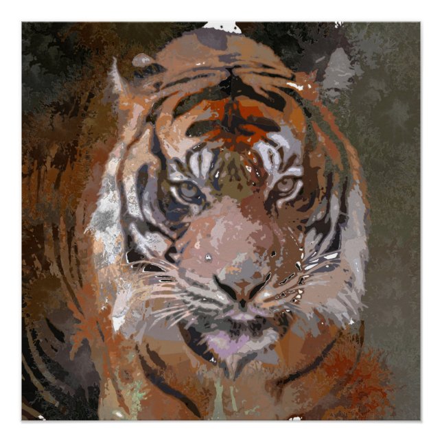 Pôster Tinta Louca - Tigre (Frente)