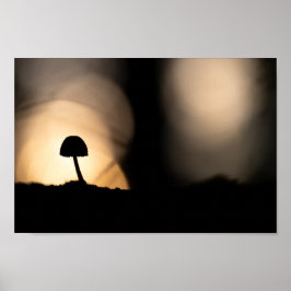 Poster Tiny Mushroom Nature Foto