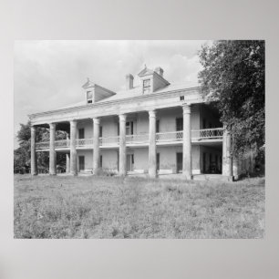 Pôster Tio Sam Plantation