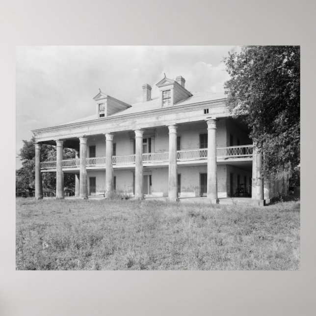 Pôster Tio Sam Plantation (Frente)