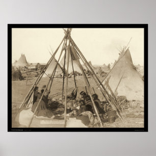 Poster Tipi da Sra. Americano Cavalo SD 1891