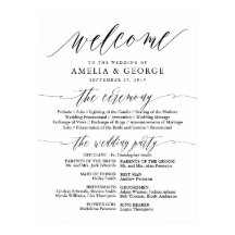 Tipografia de Script Elegante