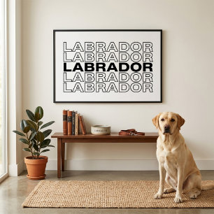 Poster Tipografia Gráfica Labrador Moderna e Negrita