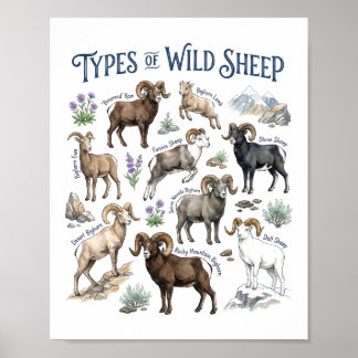 Poster Tipos de Arte de Animais Selvagens de Montanha em