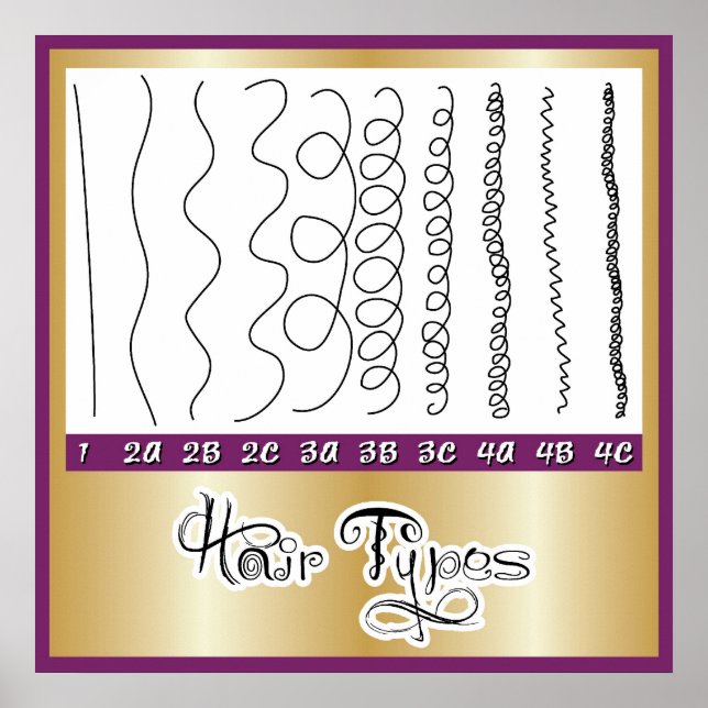 Poster Tipos de cabelo1 (Frente)