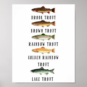 Poster Tipos de Camisa de Espécies de Truta Engraçada Tru