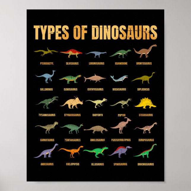 Poster Tipos De Dinossauros - Identificação Dino - Din Re (Frente)