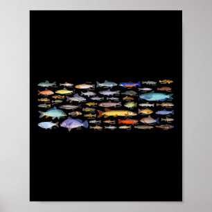 Poster Tipos De Espécies De Peixes De Água Doce Biologia