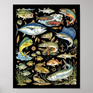 Poster Tipos de espécies de peixes de água doce e salgada