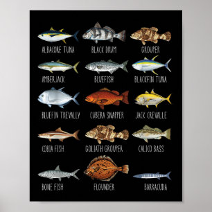 Poster Tipos De Espécies De Peixes De Água Salgada Biolog