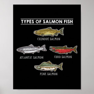 Poster Tipos de peixes salmão para pesca de salmão