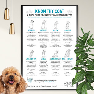 Poster Tipos de Pelagem de Cães - Arte para Pet Shops