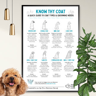 Poster Tipos de Pelagem de Cães - Arte para Pet Shops