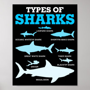 Poster Tipos De Tubarões — Oceano Acadêmico Educativo