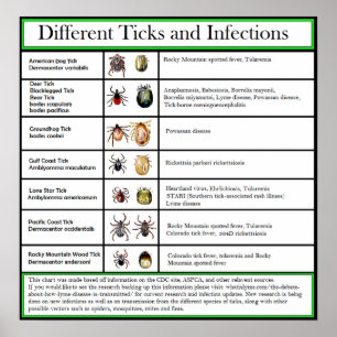 Poster Tiquetaques e carta diferentes das infecções